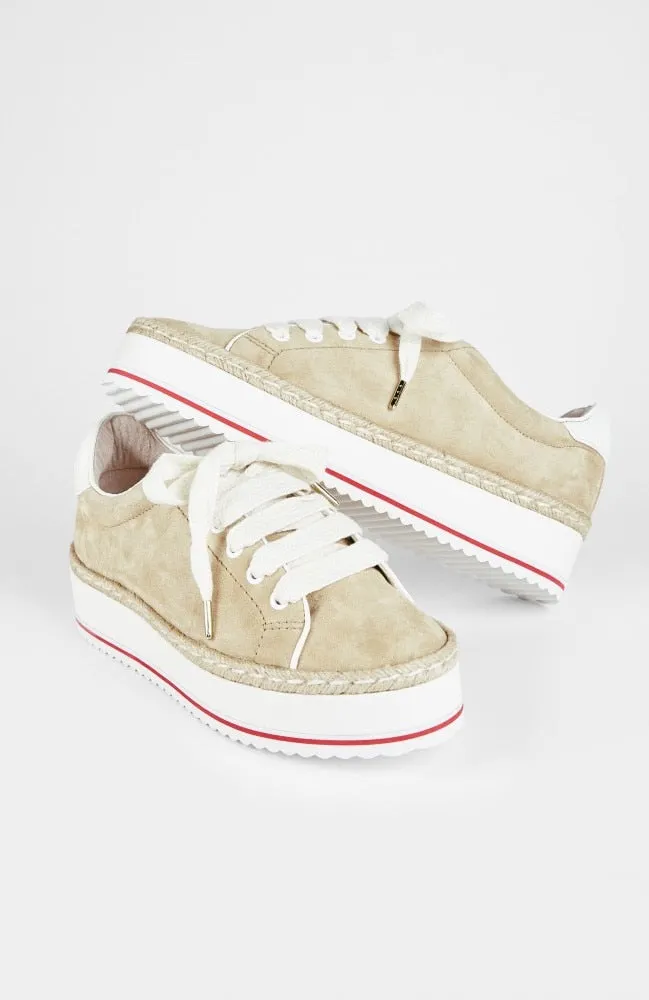 JOIE - Dabnis Sneaker in Sand