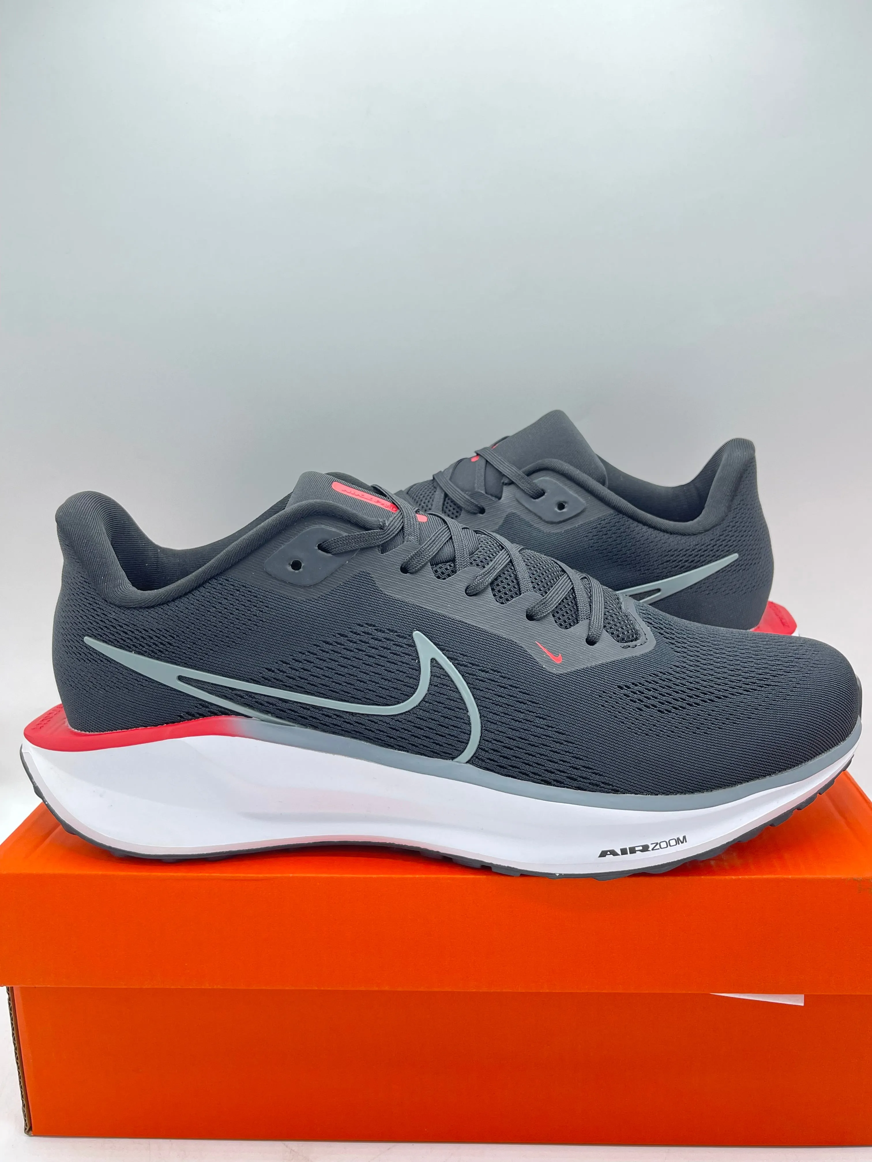 NIKE PEGASUS 41 2024