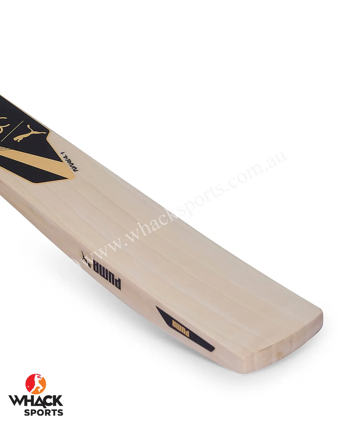 Puma One 8 Future 4.1 English Willow Cricket Bat - SH