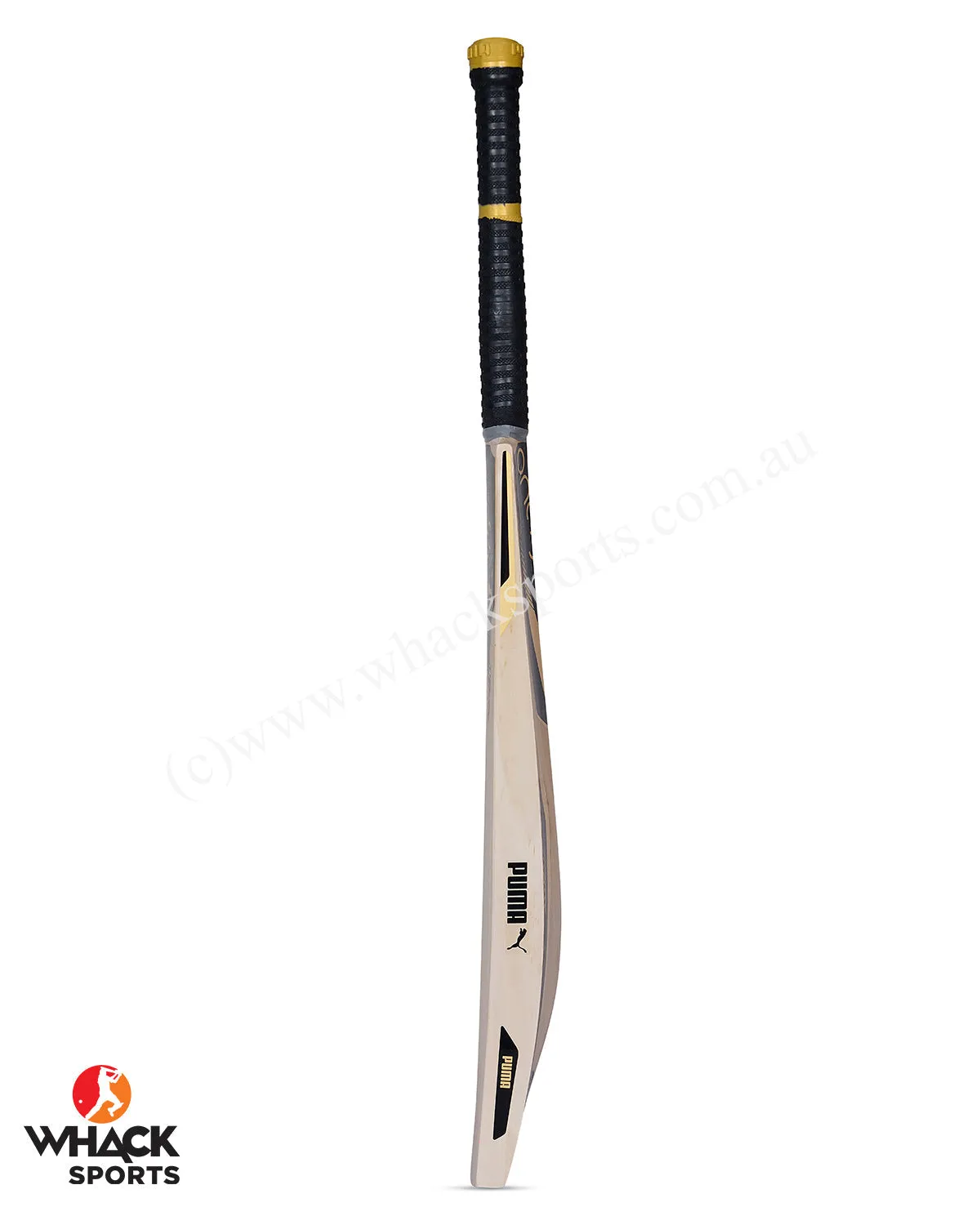 Puma One 8 Future 4.1 English Willow Cricket Bat - SH