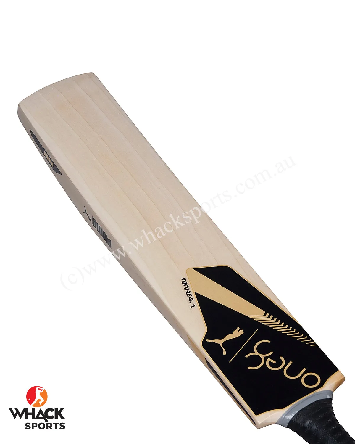 Puma One 8 Future 4.1 English Willow Cricket Bat - SH